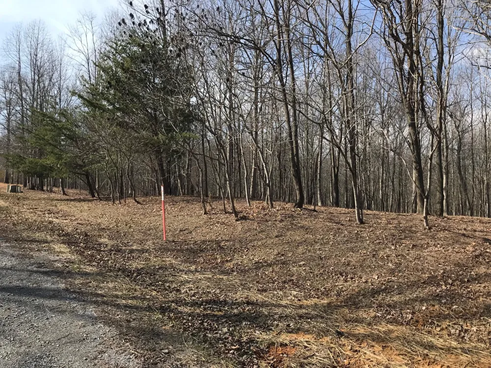 504 Wilderness Way Dunlap, TN 37327