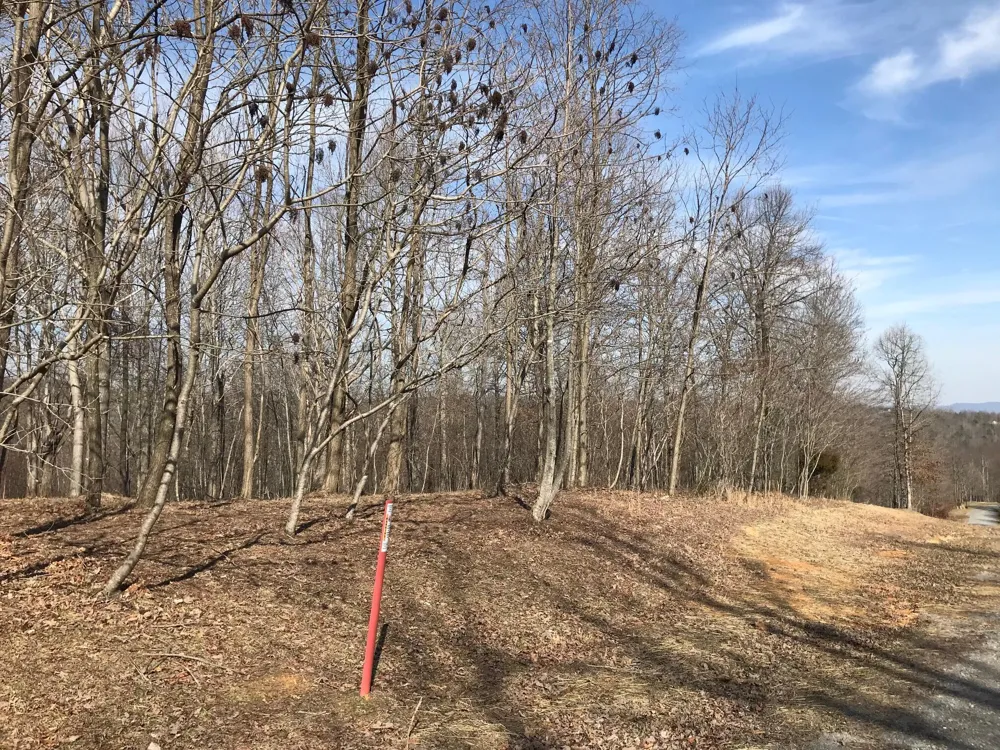 504 Wilderness Way Dunlap, TN 37327