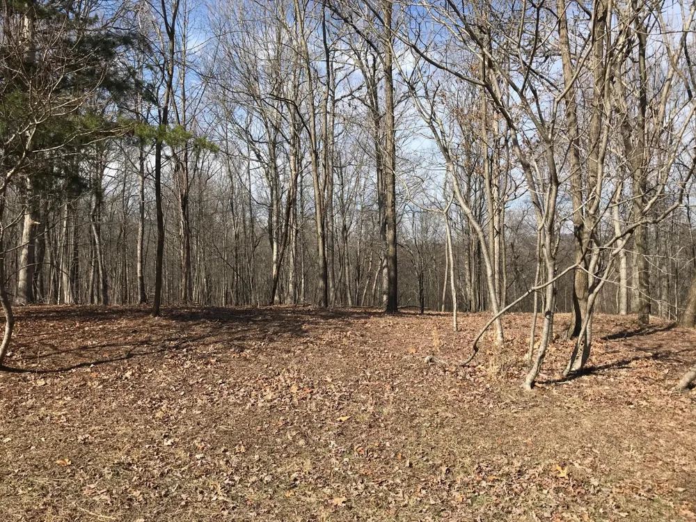 504 Wilderness Way Dunlap, TN 37327