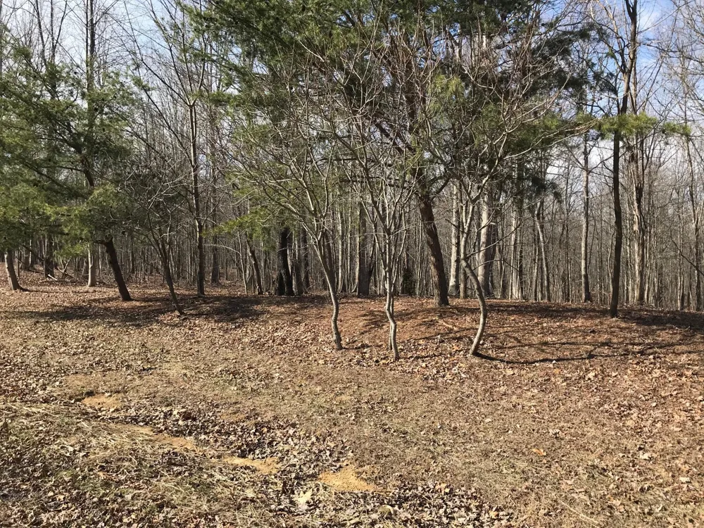 504 Wilderness Way Dunlap, TN 37327