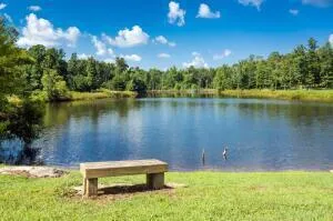 504 Wilderness Way Dunlap, TN 37327