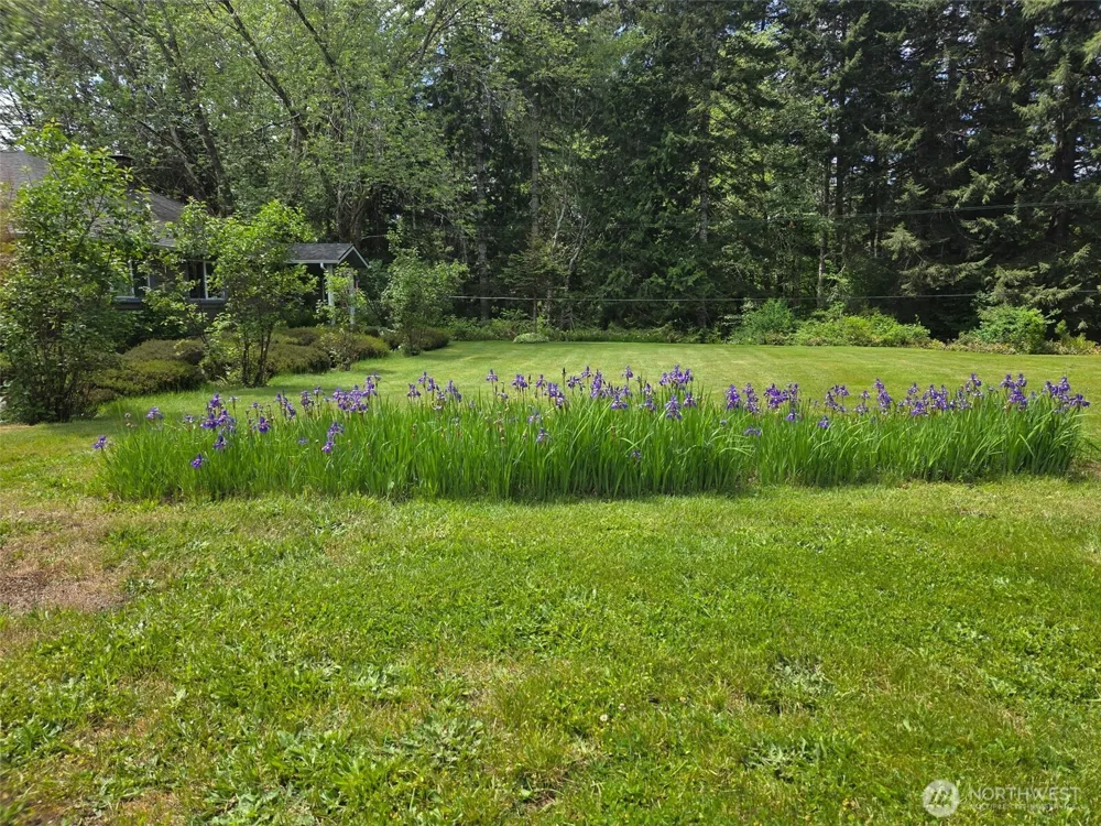 98 W Wishkah Aberdeen, WA 98520