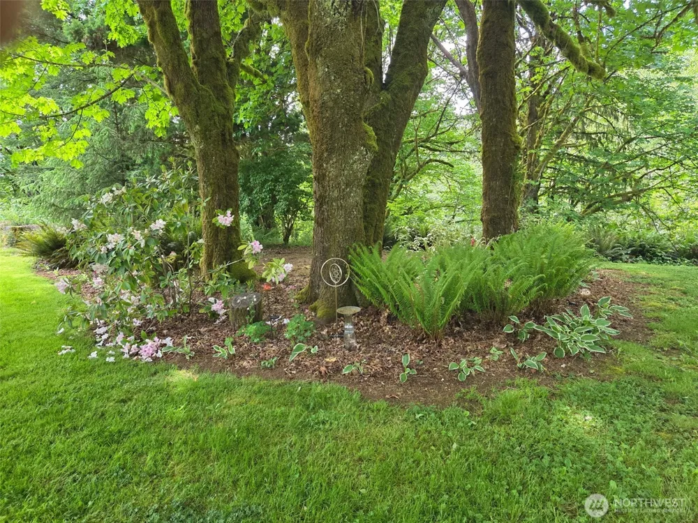 98 W Wishkah Aberdeen, WA 98520