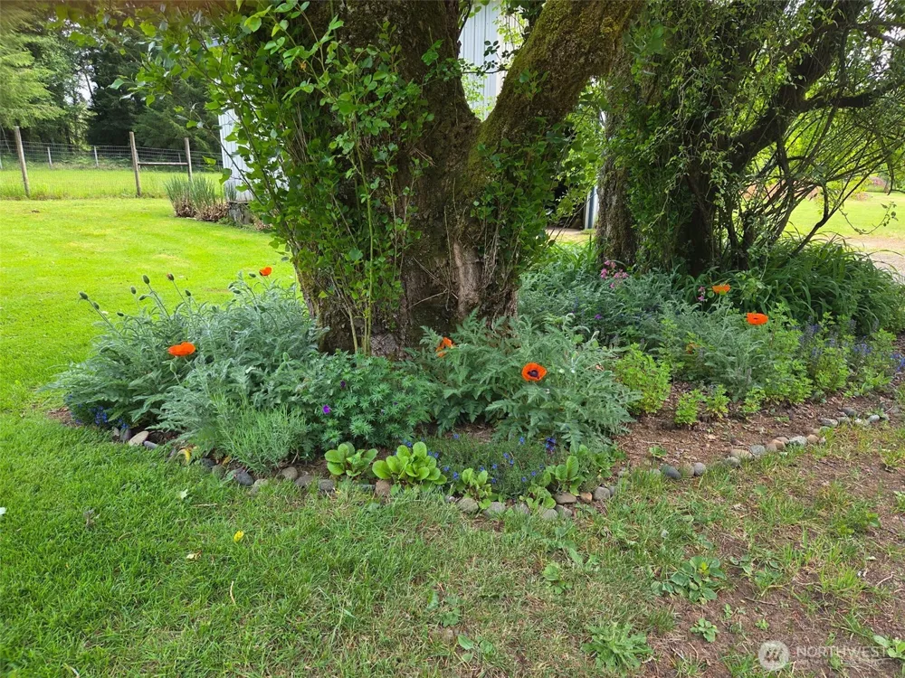 98 W Wishkah Aberdeen, WA 98520