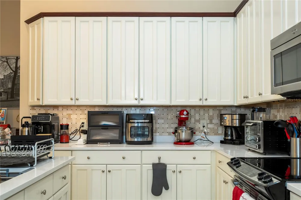 10301 OAKVIEW POINTE TERRACE Gotha, FL 34734