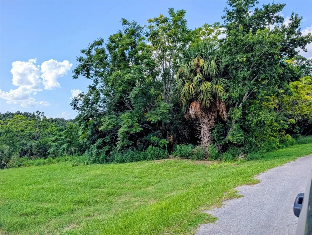 GREEN BRIAR DRIVE Lady Lake, FL 32159