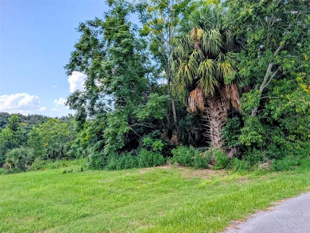GREEN BRIAR DRIVE Lady Lake, FL 32159