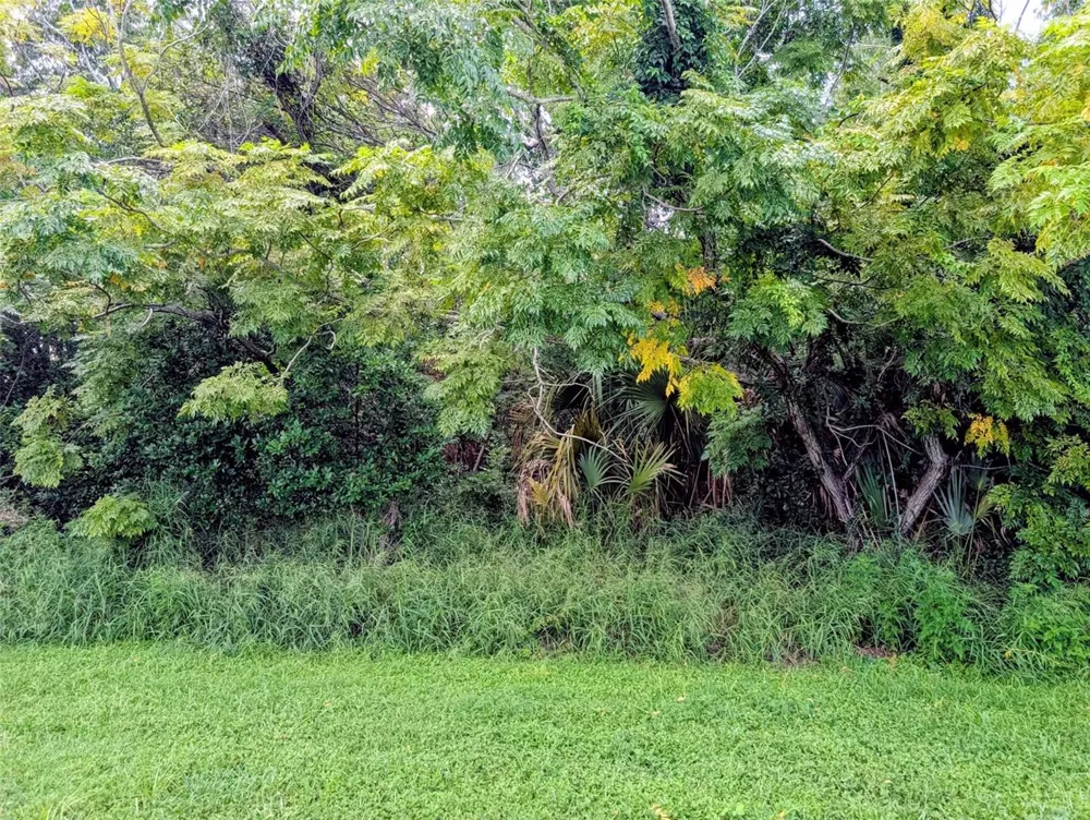GREEN BRIAR DRIVE Lady Lake, FL 32159