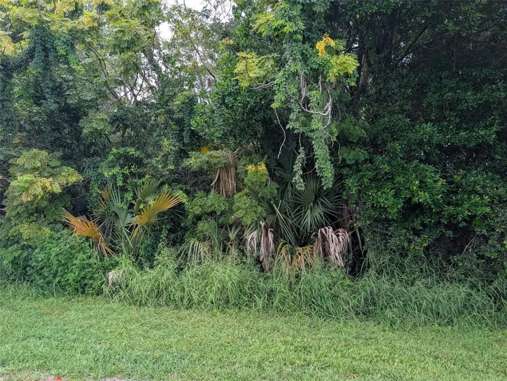 GREEN BRIAR DRIVE Lady Lake, FL 32159