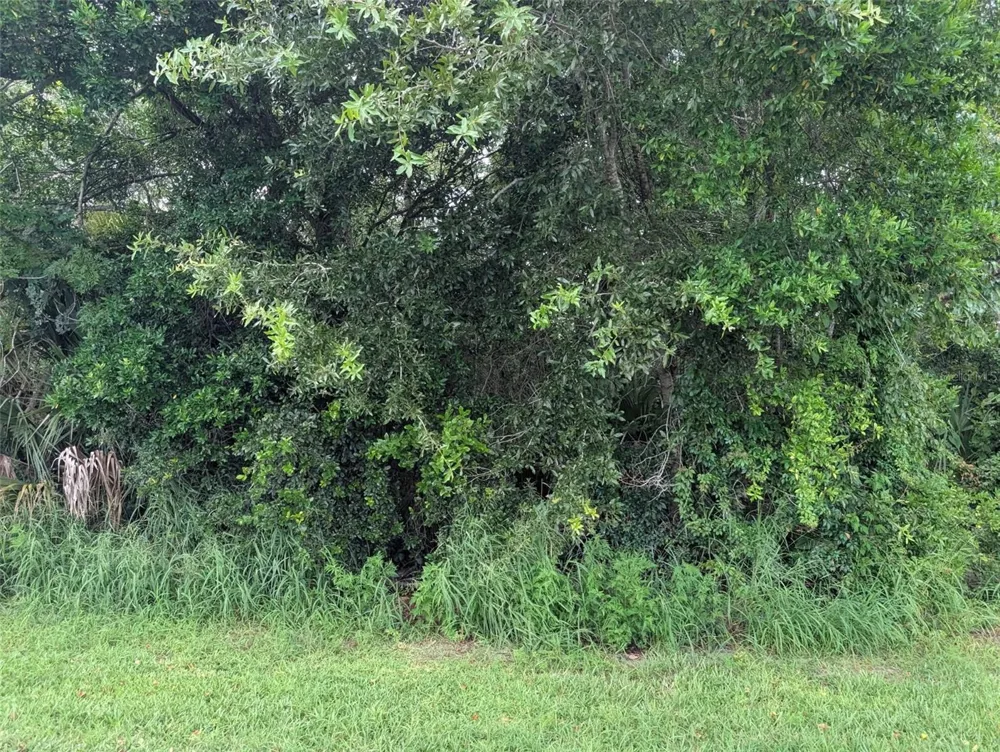 GREEN BRIAR DRIVE Lady Lake, FL 32159