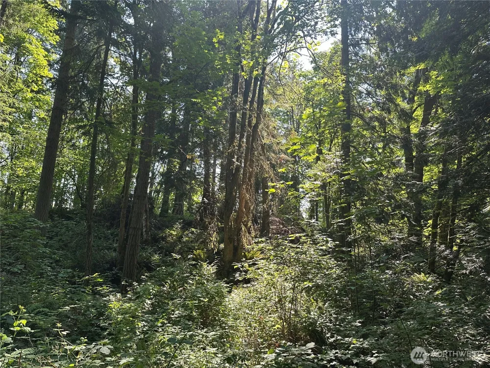 17 Shore Drive NE Indianola, WA 98342