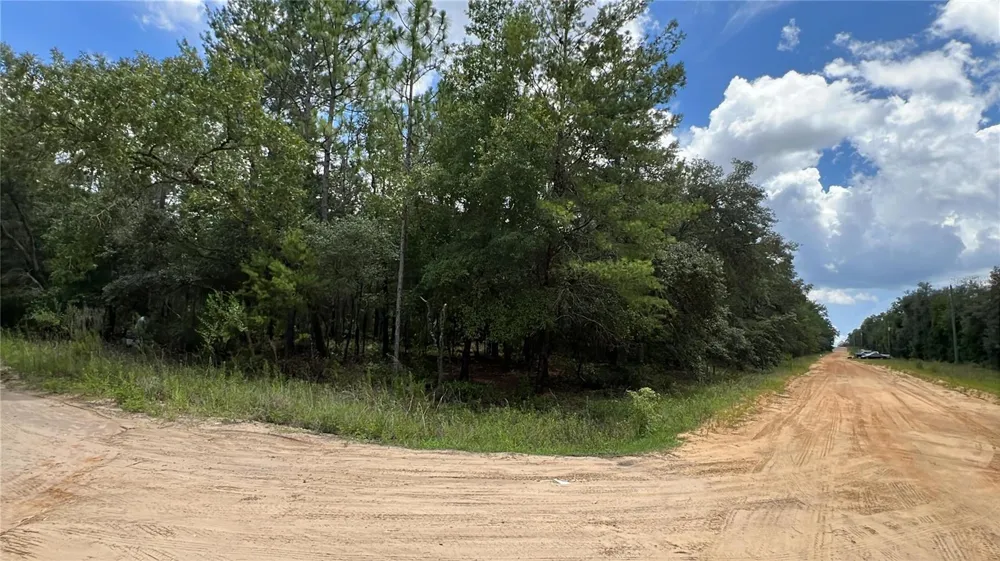 334 KENNEDY AVENUE Interlachen, FL 32148