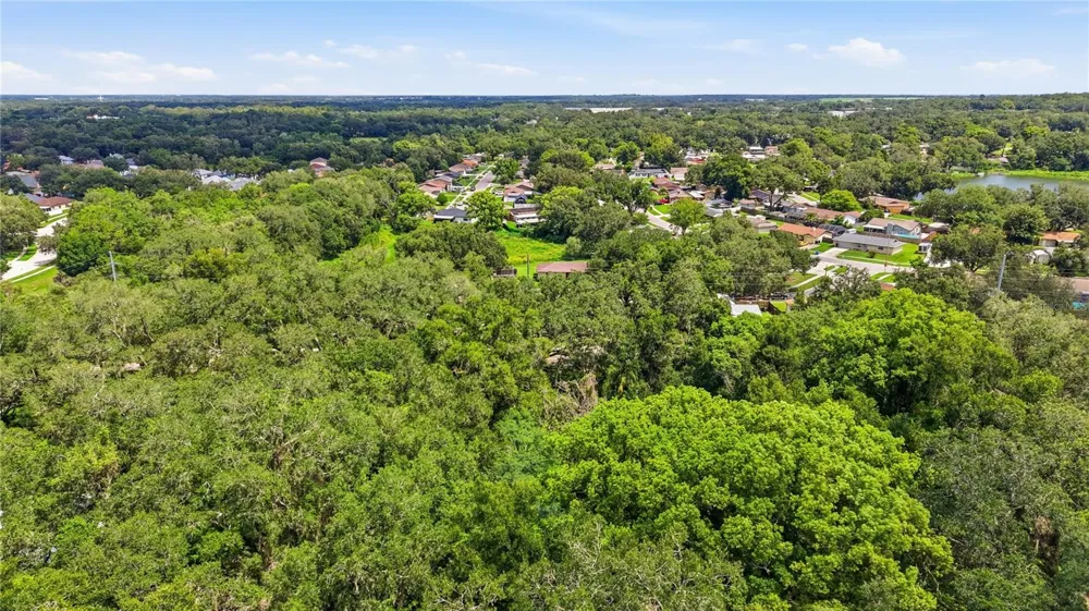 11211 CLAY PIT ROAD Seffner, FL 33584