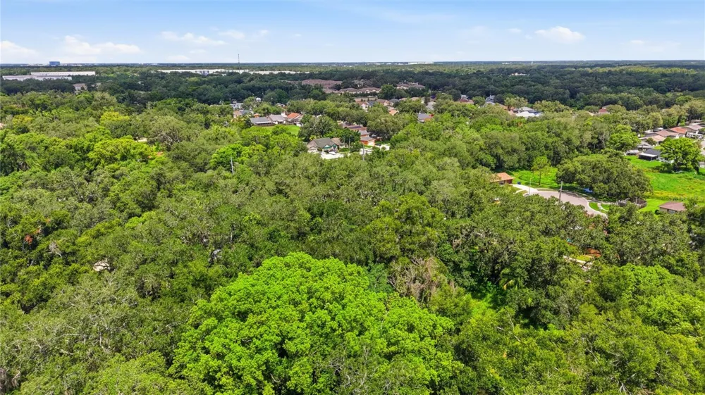 11211 CLAY PIT ROAD Seffner, FL 33584