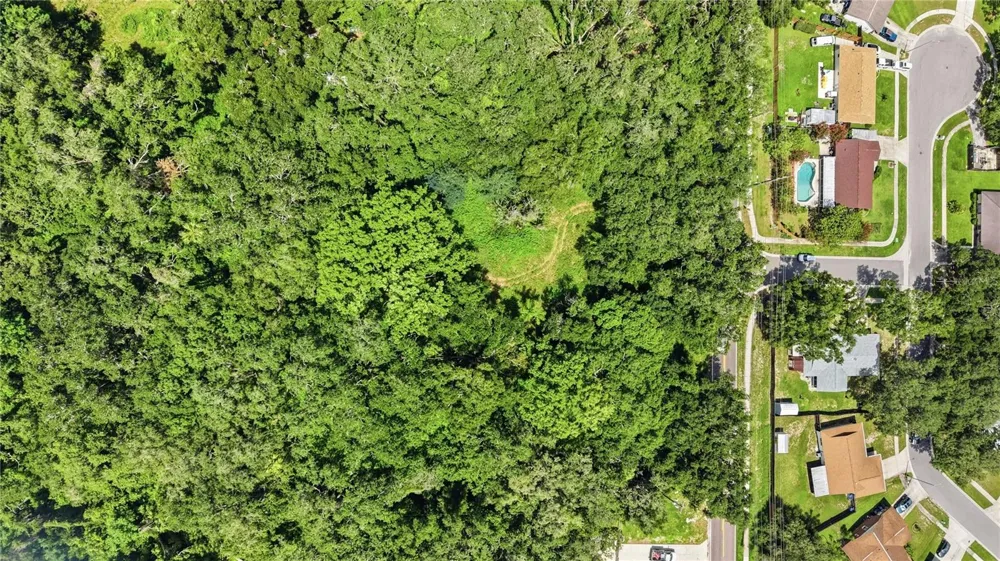 11211 CLAY PIT ROAD Seffner, FL 33584
