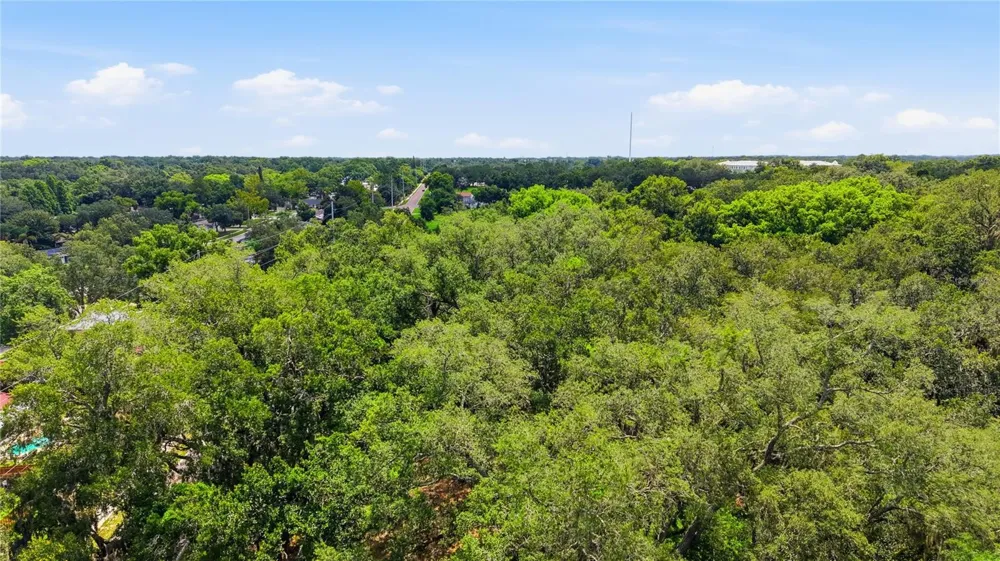 11211 CLAY PIT ROAD Seffner, FL 33584