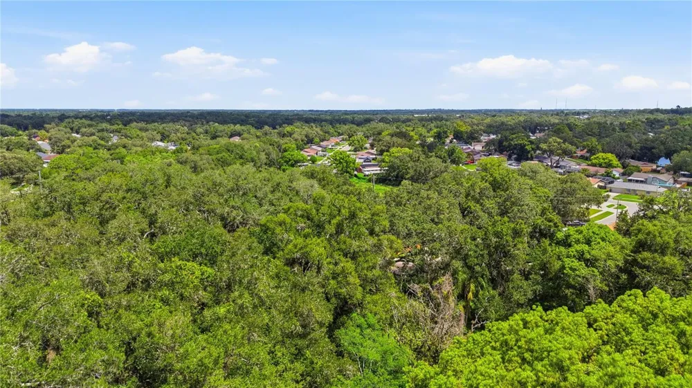 11211 CLAY PIT ROAD Seffner, FL 33584