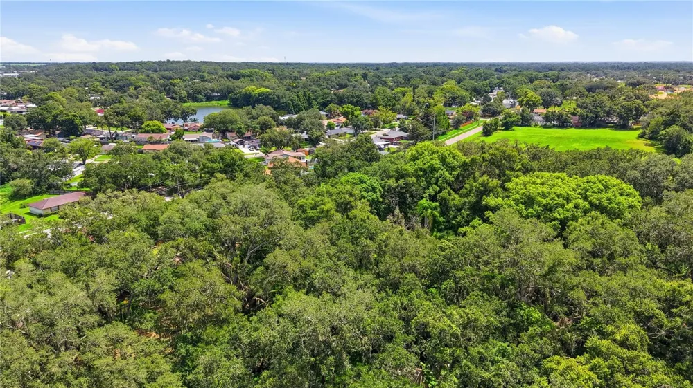 11211 CLAY PIT ROAD Seffner, FL 33584