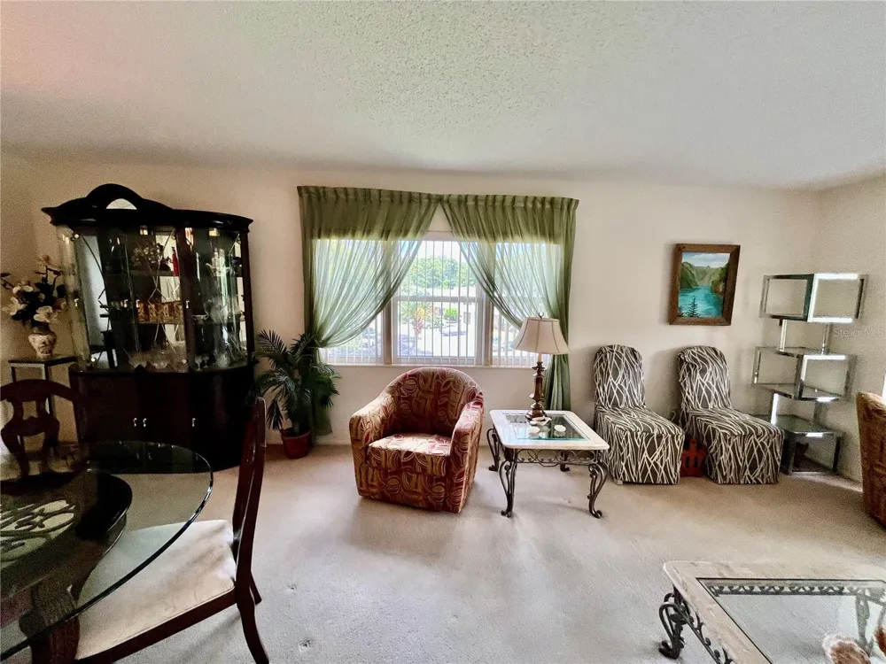 2471 SUMATRAN WAY #43 Clearwater, FL 33763