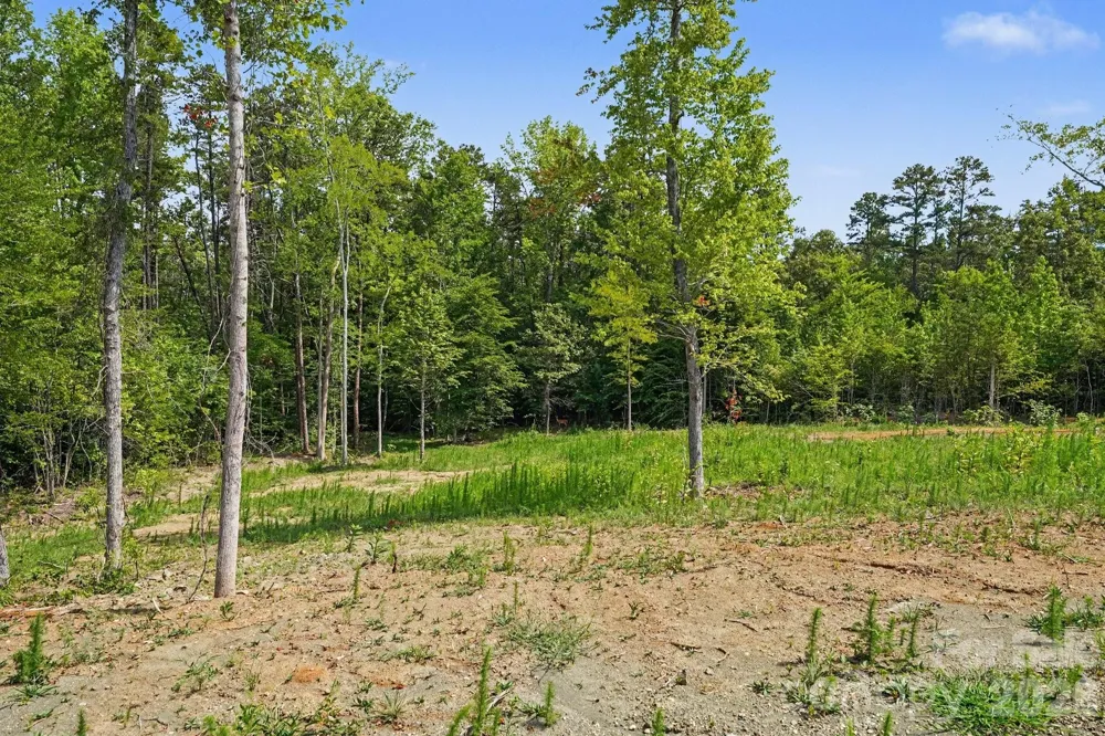 01 Pineville Road Mocksville, NC 27028