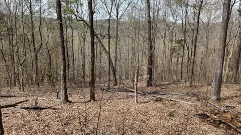 0 Geren Subdivision Lane
