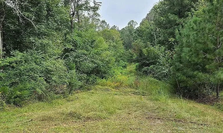 0 Bohannons Road SE Cleveland, TN 37323