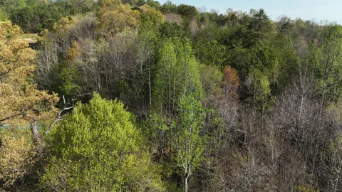 0 County Road 675