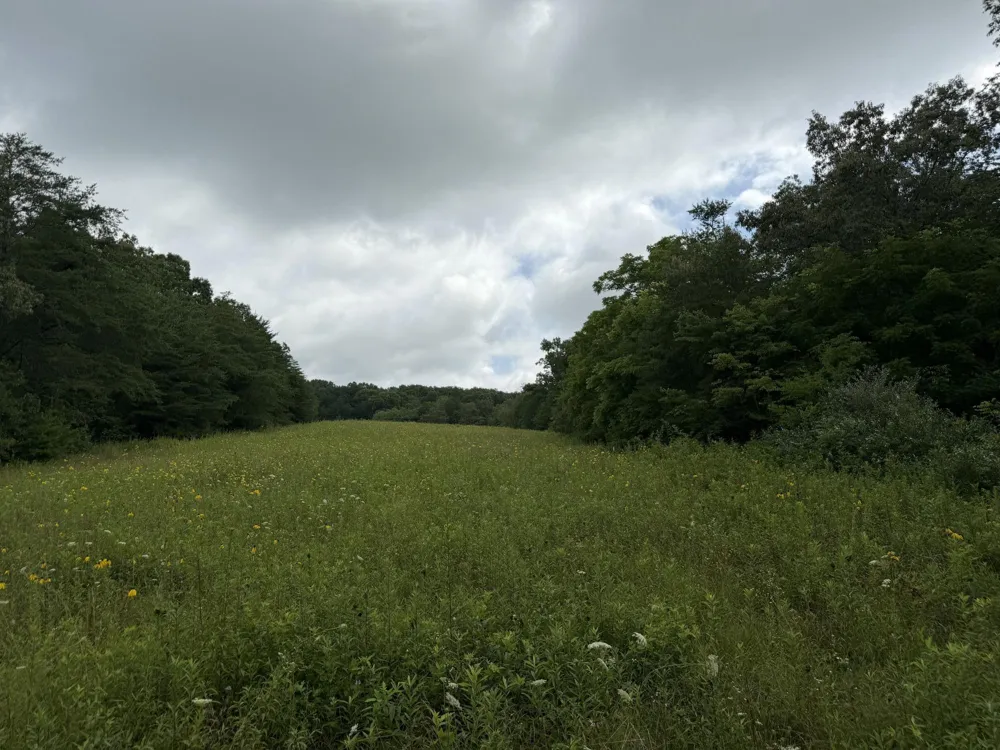 2571 Bellview Road Pikeville, TN 37367
