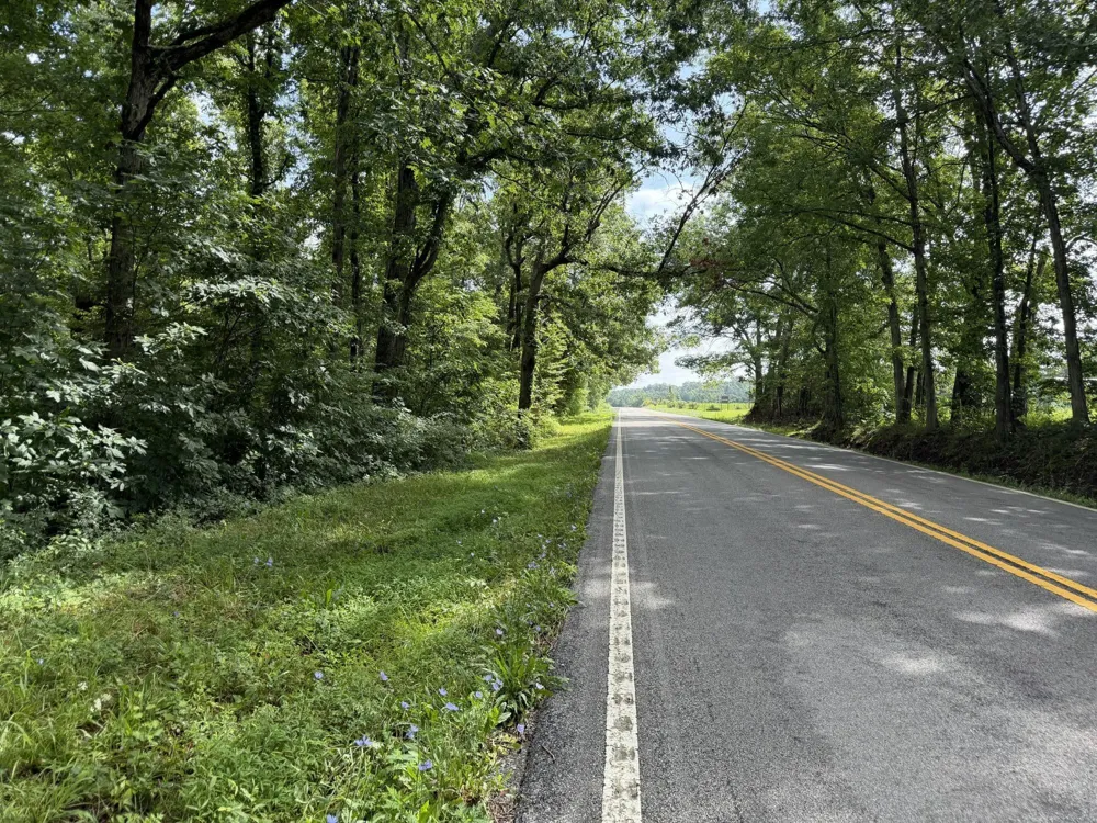 2571 Bellview Road Pikeville, TN 37367