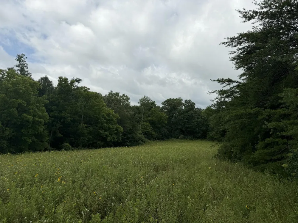 2571 Bellview Road Pikeville, TN 37367