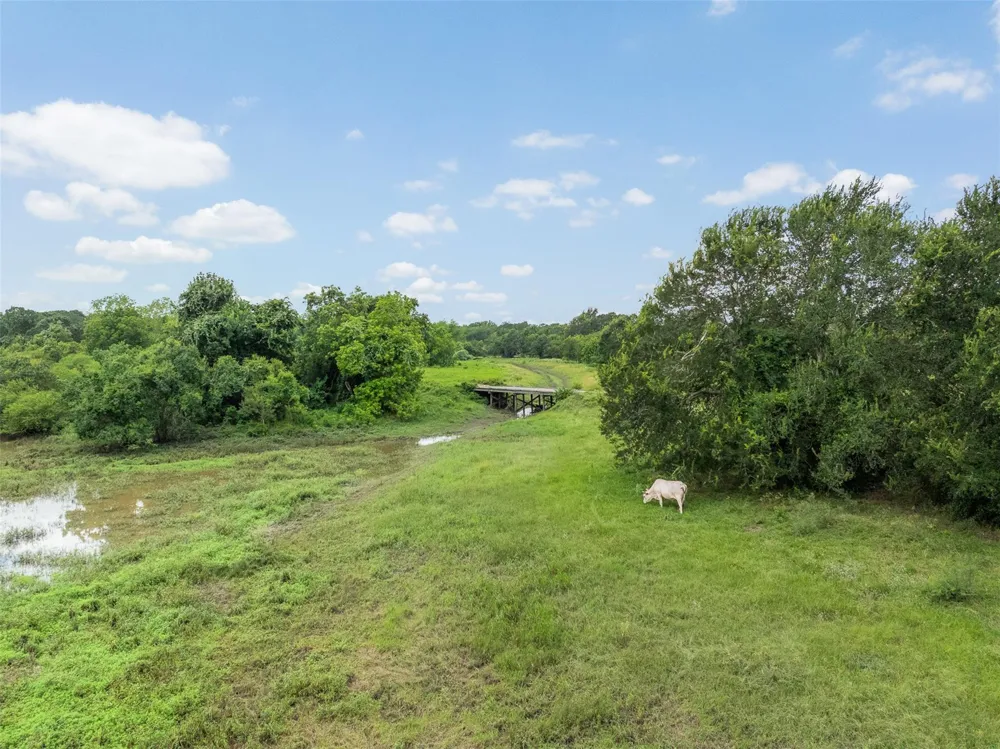 6541 Eagle Nest Acres Drive Wallis, TX 77485
