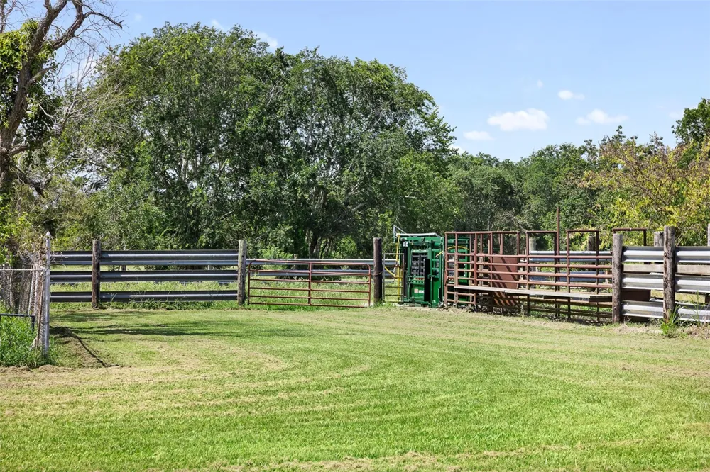 6541 Eagle Nest Acres Drive Wallis, TX 77485