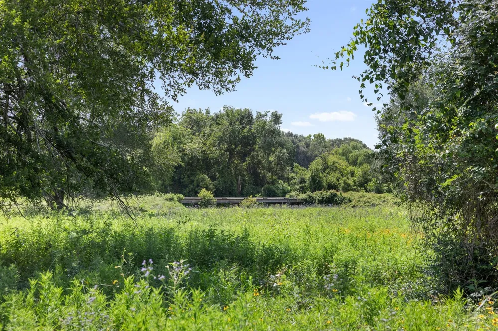 6541 Eagle Nest Acres Drive Wallis, TX 77485
