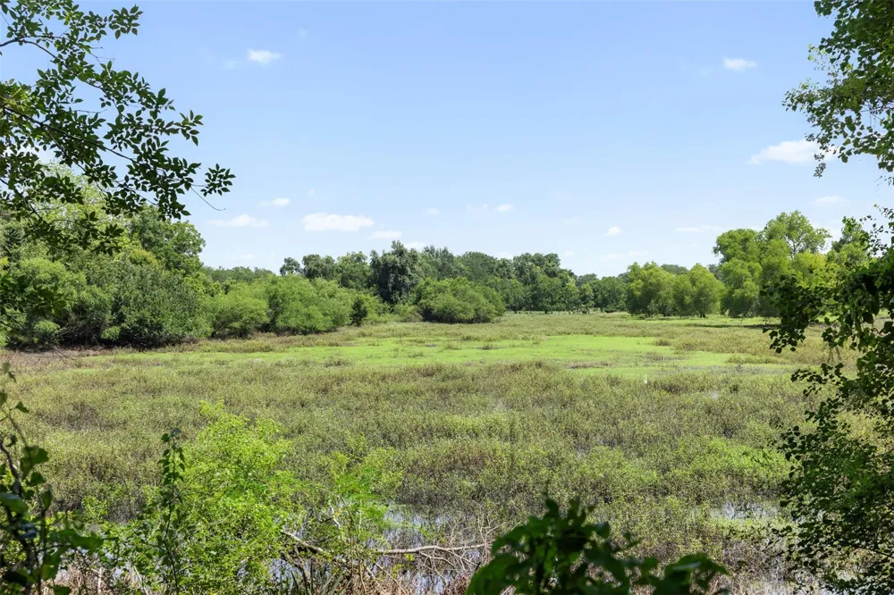 6541 Eagle Nest Acres Drive Wallis, TX 77485