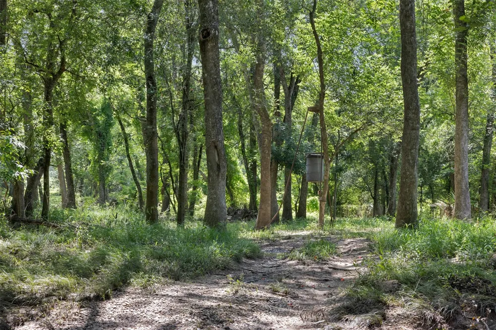 6541 Eagle Nest Acres Drive Wallis, TX 77485