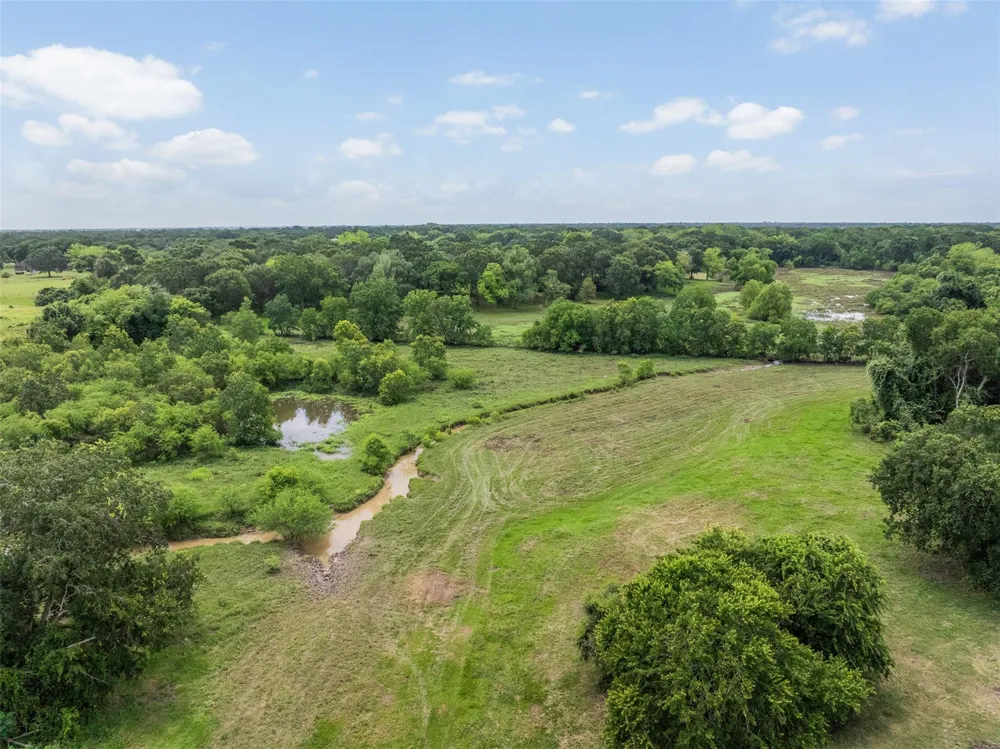 6541 Eagle Nest Acres Drive Wallis, TX 77485