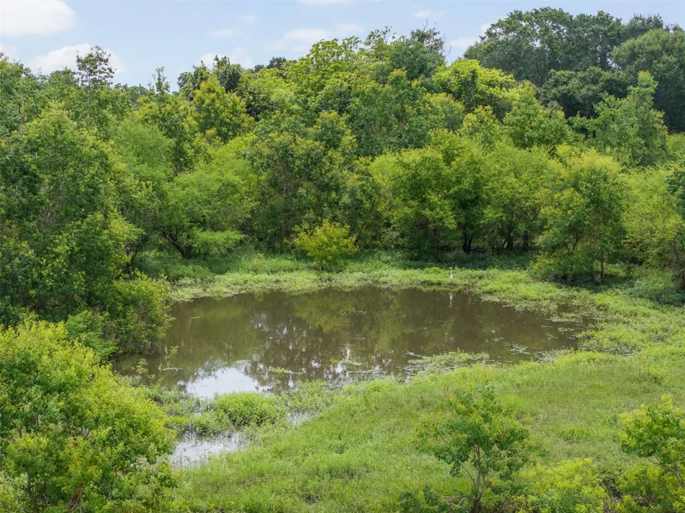 6541 Eagle Nest Acres Drive Wallis, TX 77485