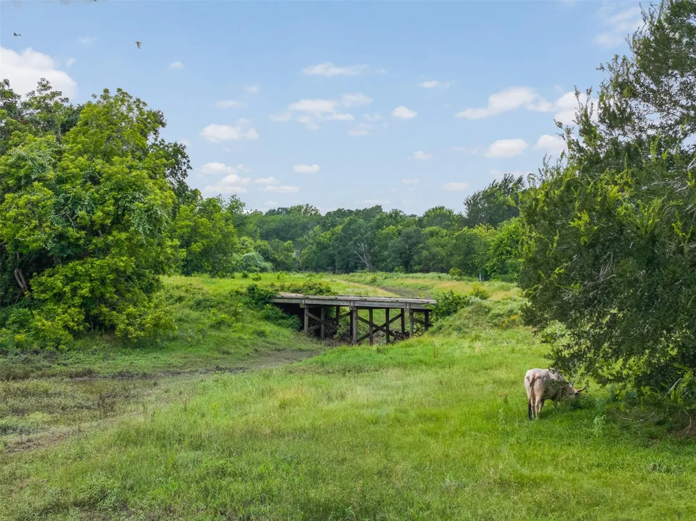 6541 Eagle Nest Acres Drive Wallis, TX 77485