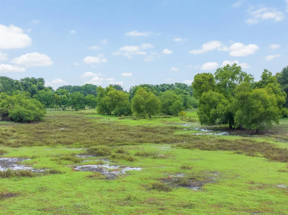 6541 Eagle Nest Acres Drive Wallis, TX 77485