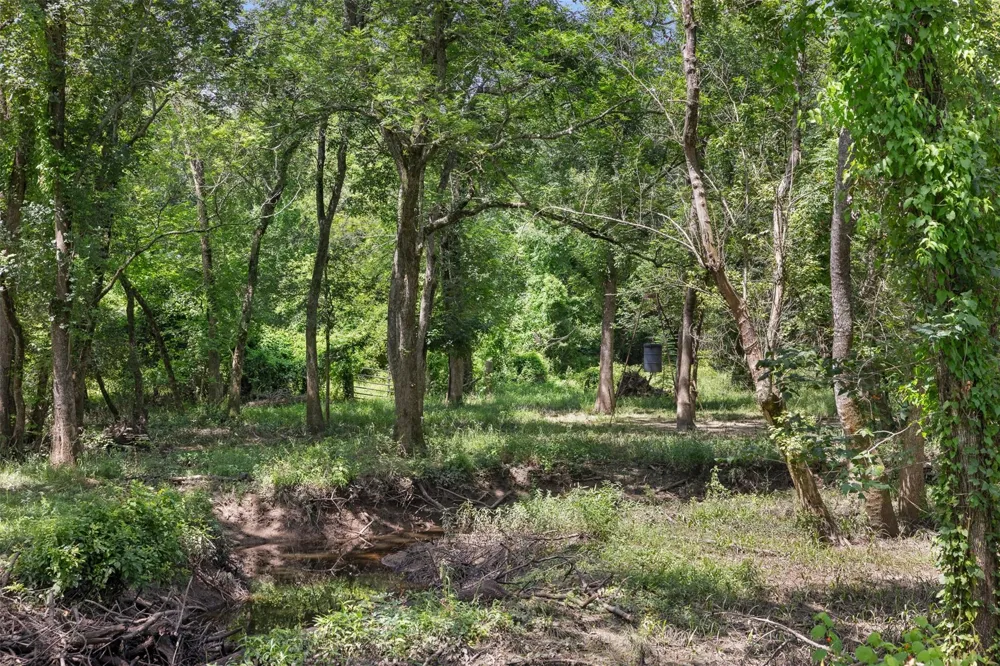 6541 Eagle Nest Acres Drive Wallis, TX 77485