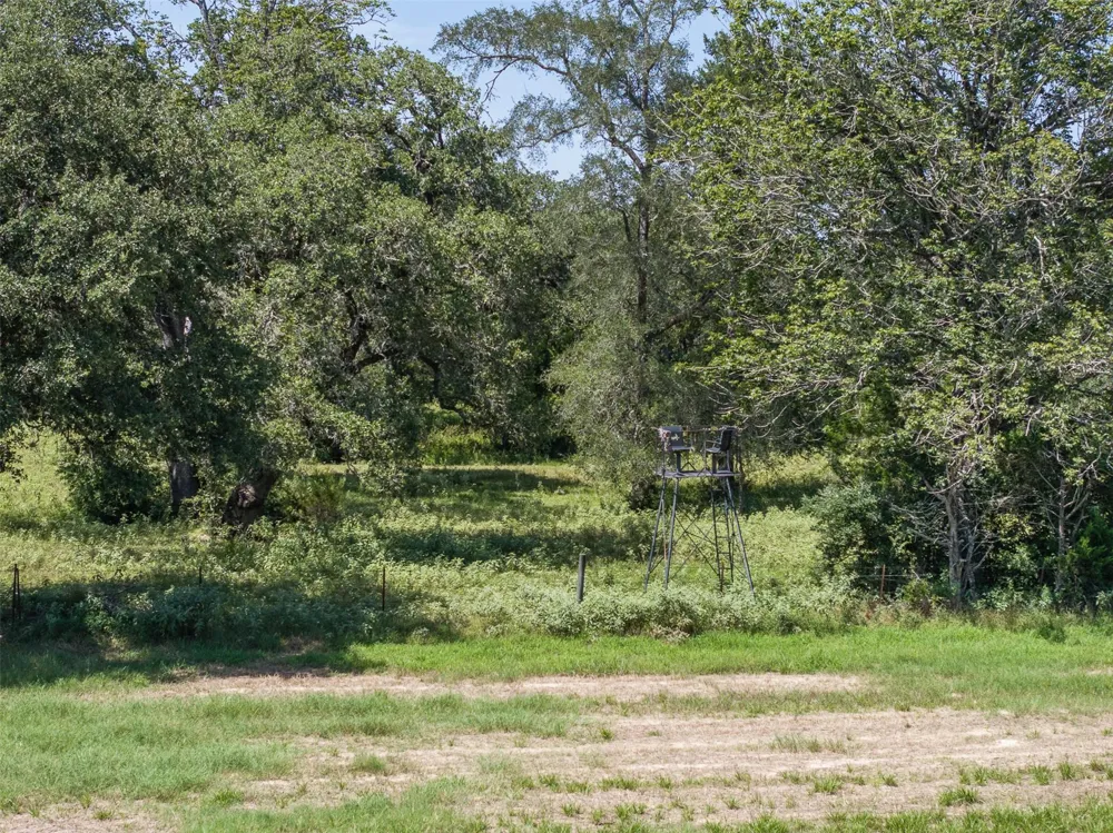 1219 Hattermann Lane Weimar, TX 78962