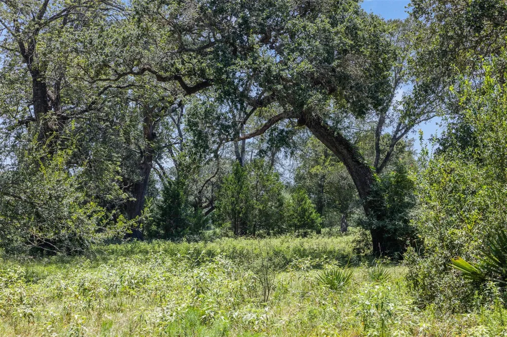 1219 Hattermann Lane Weimar, TX 78962