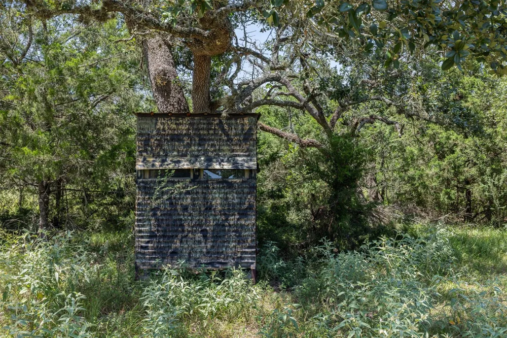 1219 Hattermann Lane Weimar, TX 78962