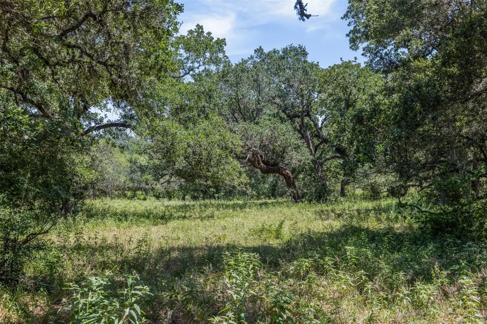 1219 Hattermann Lane Weimar, TX 78962