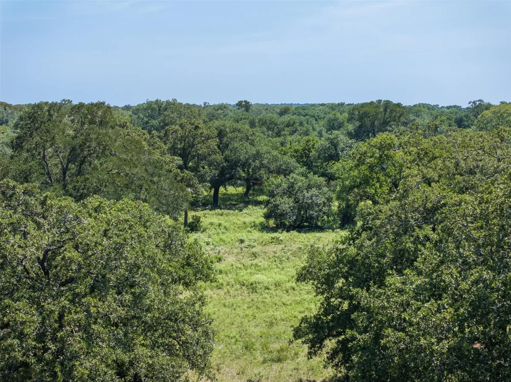 1219 Hattermann Lane Weimar, TX 78962