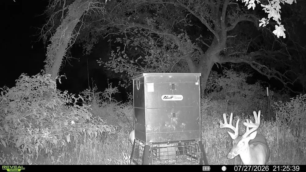 1219 Hattermann Lane Weimar, TX 78962