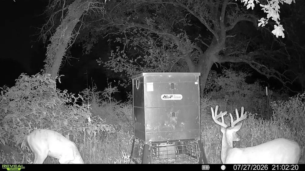 1219 Hattermann Lane Weimar, TX 78962