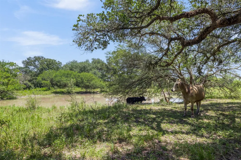 1219 Hattermann Lane Weimar, TX 78962