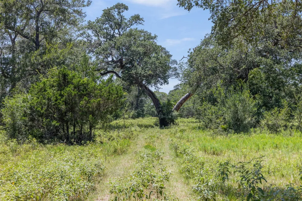 1219 Hattermann Lane Weimar, TX 78962