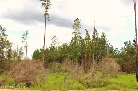 8.83ac Little Cedar Road